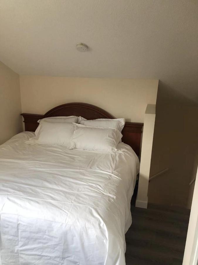 Unit #302 Mountain View 2 Beds In Dt Διαμέρισμα Κάνμορ Εξωτερικό φωτογραφία